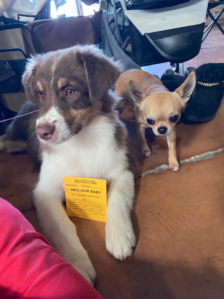 Vaya con dios Des Ca.beaux&chics