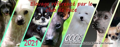 Des Ca.beaux&chics - Adhérente club 2021